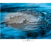 web_5580